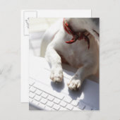 Hund legt sich die Hände auf einen Laptop Postkarte (Vorne/Hinten)
