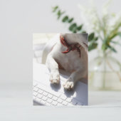 Hund legt sich die Hände auf einen Laptop Postkarte (Stehend Vorderseite)