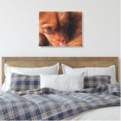 Hund Leinwanddruck (Insitu (Schlafzimmer))