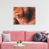 Hund Leinwanddruck (Insitu (Wohnzimmer))