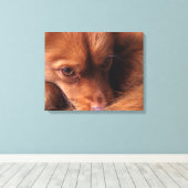 Hund Leinwanddruck (Insitu (Holzboden))
