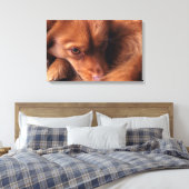 Hund Leinwanddruck (Insitu (Schlafzimmer))