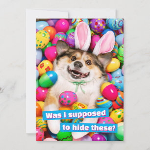 Hund liegt auf Ostereiern Einladung