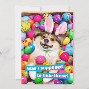Hund liegt auf Ostereiern Einladung