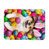 Hund liegt auf Ostereiern Magnet (Horizontal)