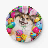 Hund liegt auf Ostereiern