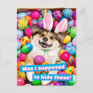 Hund liegt auf Ostereiern Postkarte