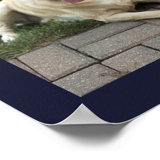 Hund Lover 12 Fotos Zuhause ist, wo unser Hund ist Poster (Ecke)