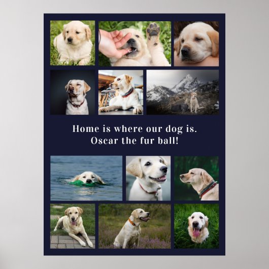 Hund Lover 12 Fotos Zuhause ist, wo unser Hund ist Poster (Vorne)