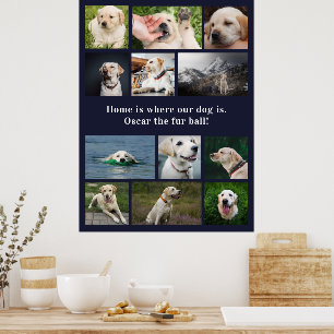 Hund Lover 12 Fotos Zuhause ist, wo unser Hund ist Poster