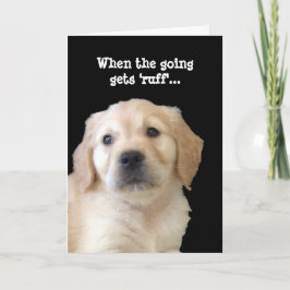 Hund Lover bekommen Well Card Karte