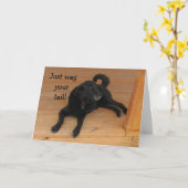 Hund Lover Belated Geburtstag Karte (Gelbe Blume)