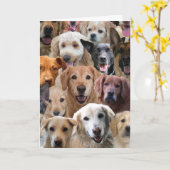 Hund Lover Geburtstagskarte Karte (Gelbe Blume)