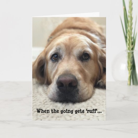 Hund Lover Get Well Card Karte (Vorderseite)