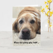 Hund Lover Get Well Card Karte (Gelbe Blume)