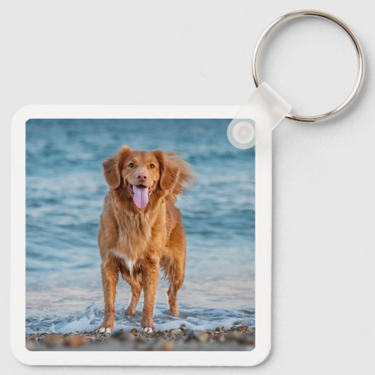 Hund Lover Personalisiertes Tier Foto Keepake Schlüsselanhänger (Rückseite)