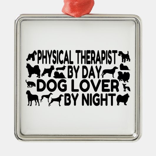 Hund Lover Physiotherapeut Silbernes Ornament (Vorne)