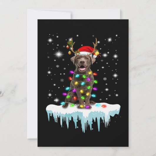Hund Lover | Schokolade Labrador Christmas Light Karte (Vorderseite)
