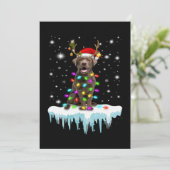 Hund Lover | Schokolade Labrador Christmas Light Karte (Stehend Vorderseite)