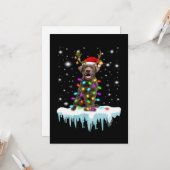 Hund Lover | Schokolade Labrador Christmas Light Karte (Vorderseite/Rückseite Beispiel)