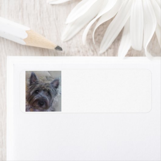 Hund Lover's Rücksendeadresse-Label (Insitu)