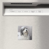 Hund Magnet (In Situ (Geschirrspüler))