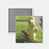 Hund Magnet (Vorderseite/Rückseite)