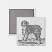 Hund Magnet (Vorderseite/Rückseite)