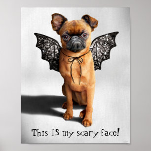 Hund mit Baderingen Poster