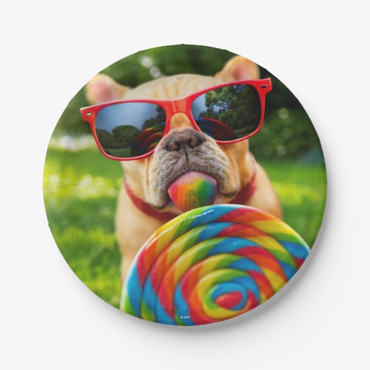 Hund mit Big Lollipop Pappteller (Vorderseite)