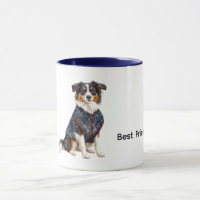 Hund mit blauem Mantel