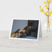 Hund mit Cat Portrait Karte (Gelbe Blume)