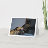 Hund mit Cat Portrait Karte (Vorderseite)