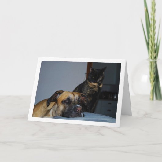 Hund mit Cat Portrait Karte (Vorderseite)