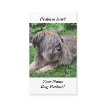 Hund mit dem Haar über ihm ist Augen