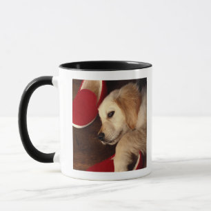 Hund mit den Schuhen, die auf dem hölzernen Boden Tasse