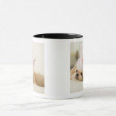 Hund mit einer Krone Tasse (Zentrum)