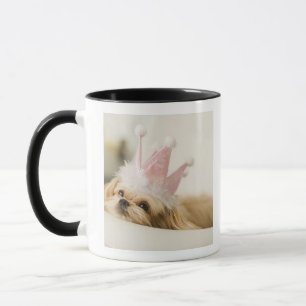 Hund mit einer Krone Tasse