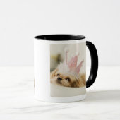 Hund mit einer Krone Tasse (VorderseiteRechts)