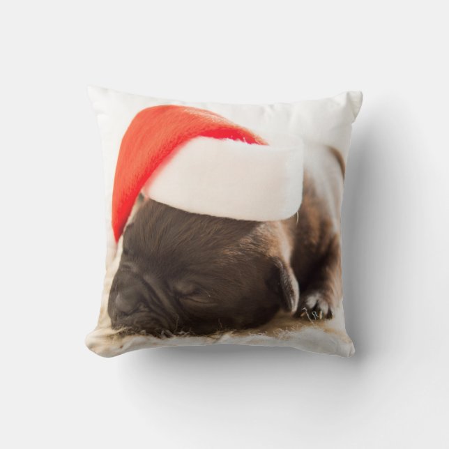 Hund mit einer neuen Jubiläumskappe Kissen (Vorderseite)