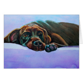 Hund mit entspannter Schokolade Labrador