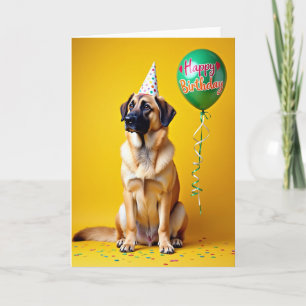 Hund mit festlicher Mütze zum Geburtstag Karte