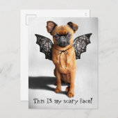 Hund mit Fledermausen Einladungspostkarte (Vorne/Hinten)