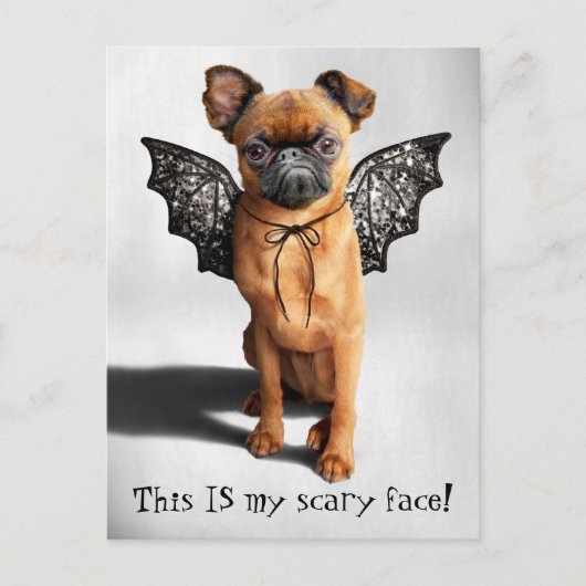 Hund mit Fledermausen Einladungspostkarte (Vorderseite)