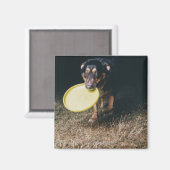 Hund mit Frisbee im Mund Magnet (Vorderseite/Rückseite)