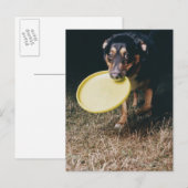 Hund mit Frisbee im Mund Postkarte (Vorne/Hinten)