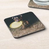 Hund mit Frisbee im Mund Untersetzer (Linke Seite)