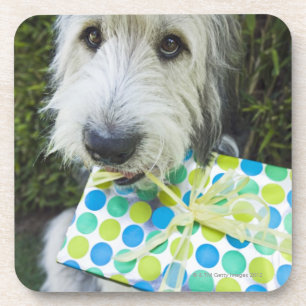 Hund mit Geschenk im Mund Getränkeuntersetzer