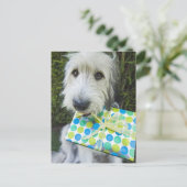 Hund mit Geschenk im Mund Postkarte (Stehend Vorderseite)