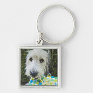 Hund mit Geschenk im Mund Schlüsselanhänger